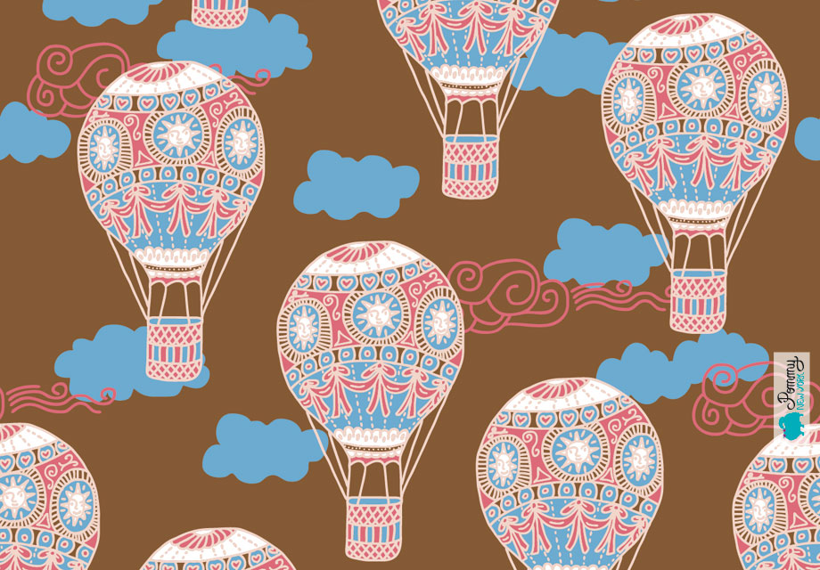 Hot Air Balloon